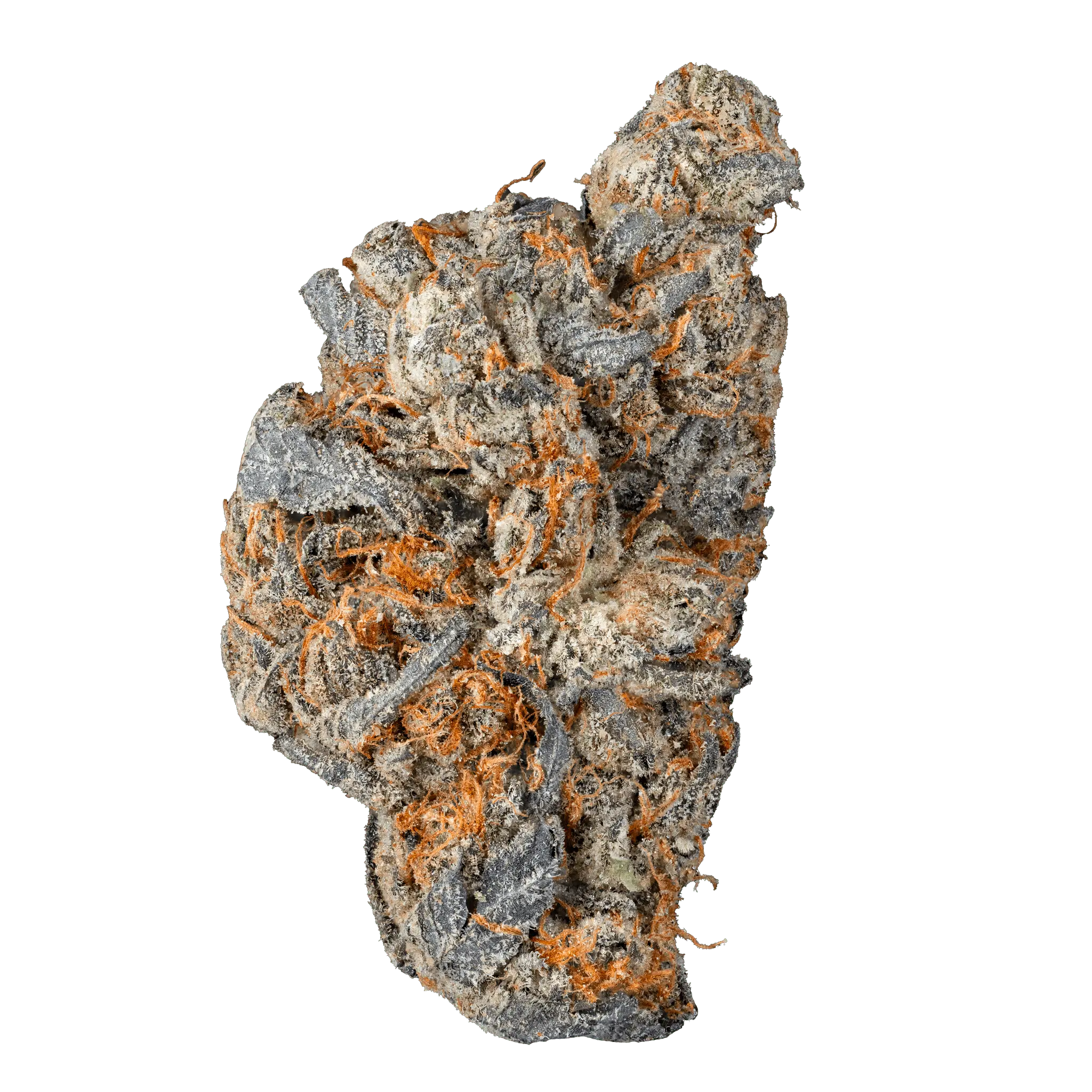 Black Mirror Snowfest THCa Flower