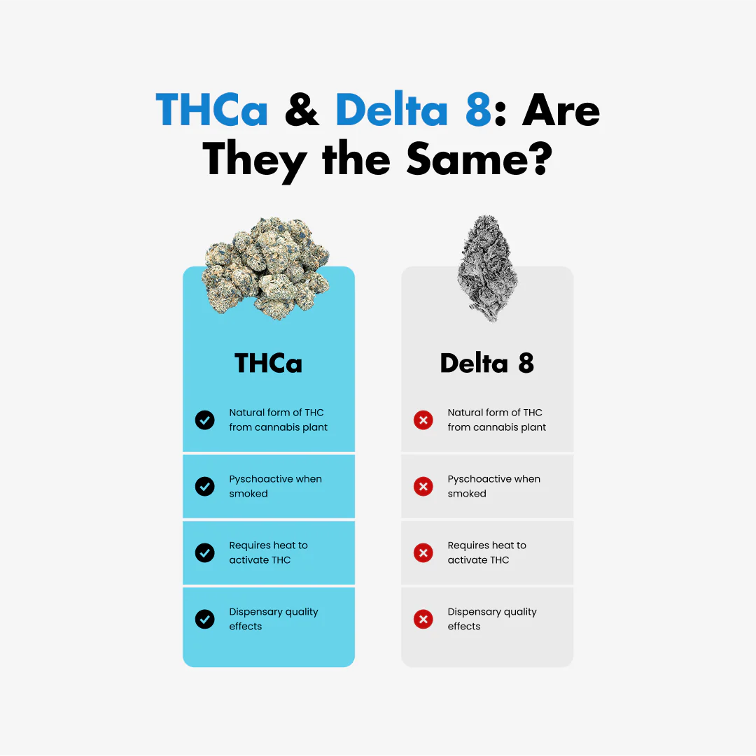 THCa Isolate Powder - Image 3