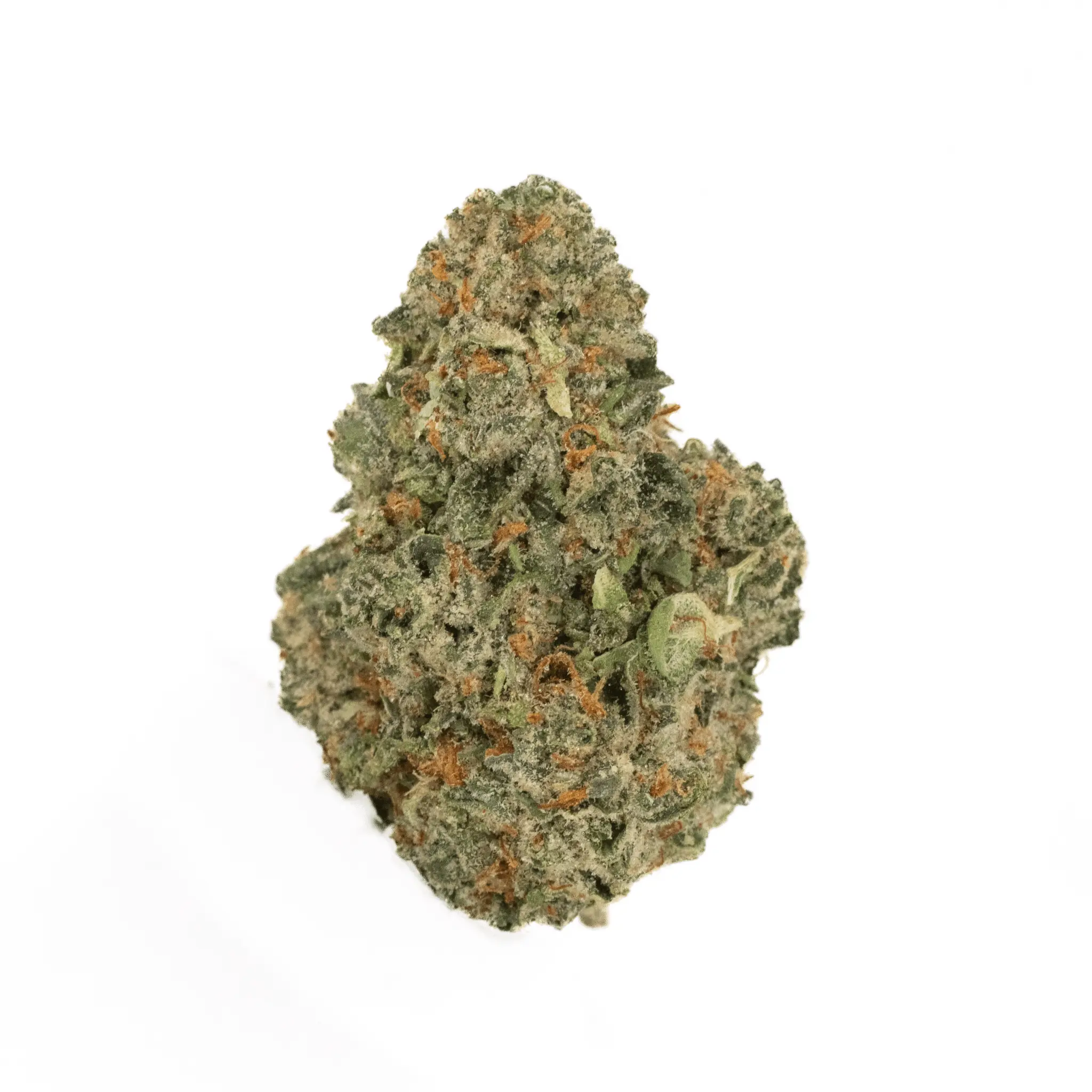 Horchata THCa Flower