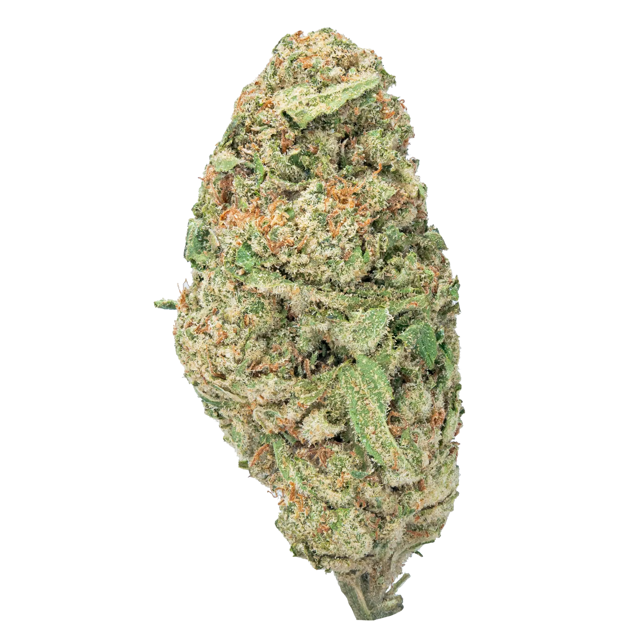 Super Boof THCa Flower